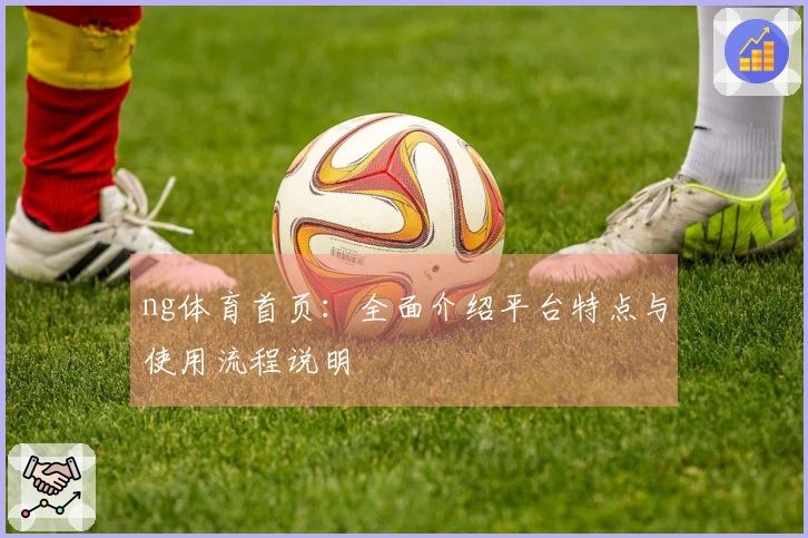 ng体育首页:全面介绍平台特点与使用流程说明