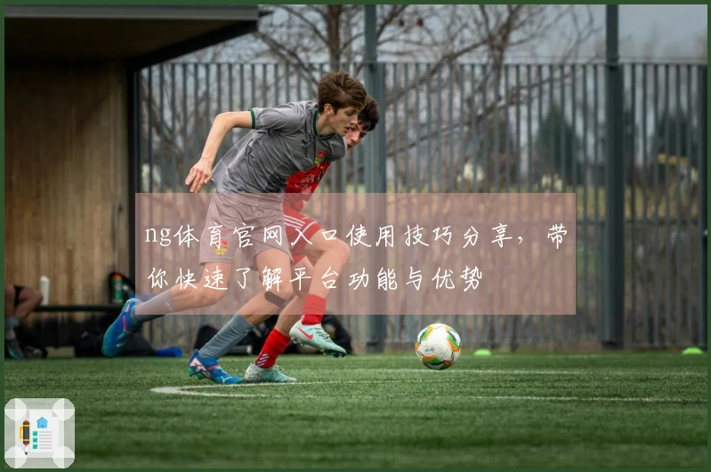 ng体育官网入口使用技巧分享，带你快速了解平台功能与优势