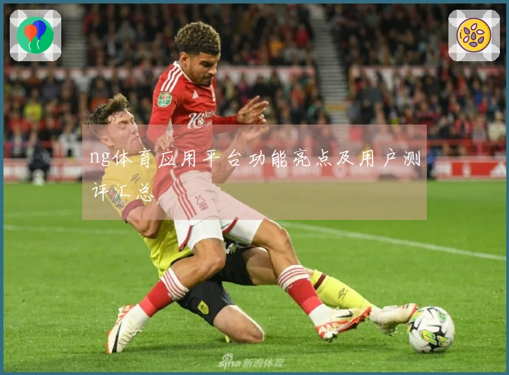ng体育应用平台功能亮点及用户测评汇总