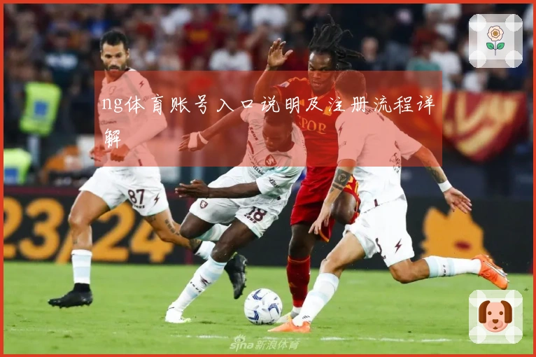 ng体育账号入口说明及注册流程详解
