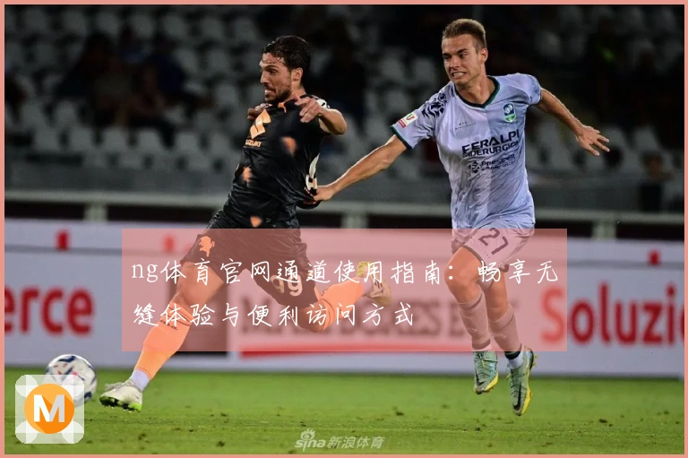 ng体育官网通道使用指南:畅享无缝体验与便利访问方式