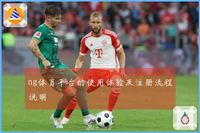ng体育平台的使用体验及注册流程说明