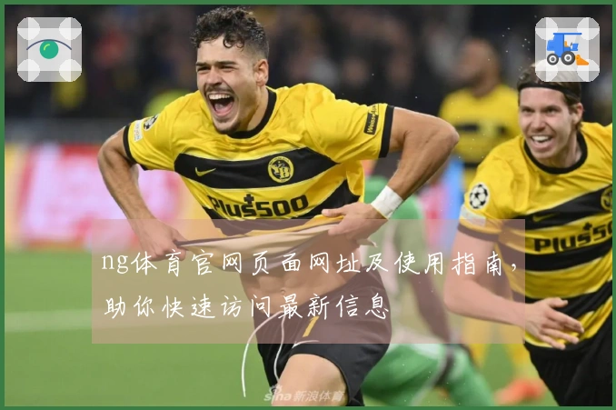 ng体育官网页面网址及使用指南，助你快速访问最新信息