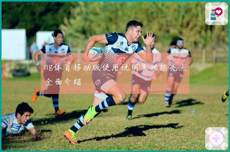 ng体育移动版使用说明及功能亮点全面介绍