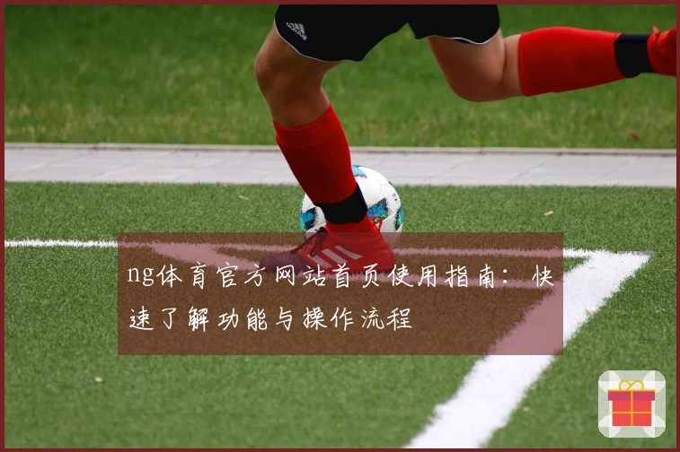 ng体育官方网站首页使用指南：快速了解功能与操作流程