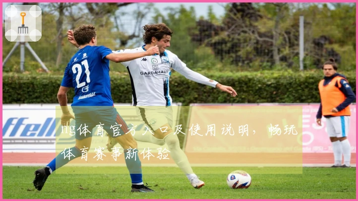 ng体育官方入口及使用说明，畅玩体育赛事新体验